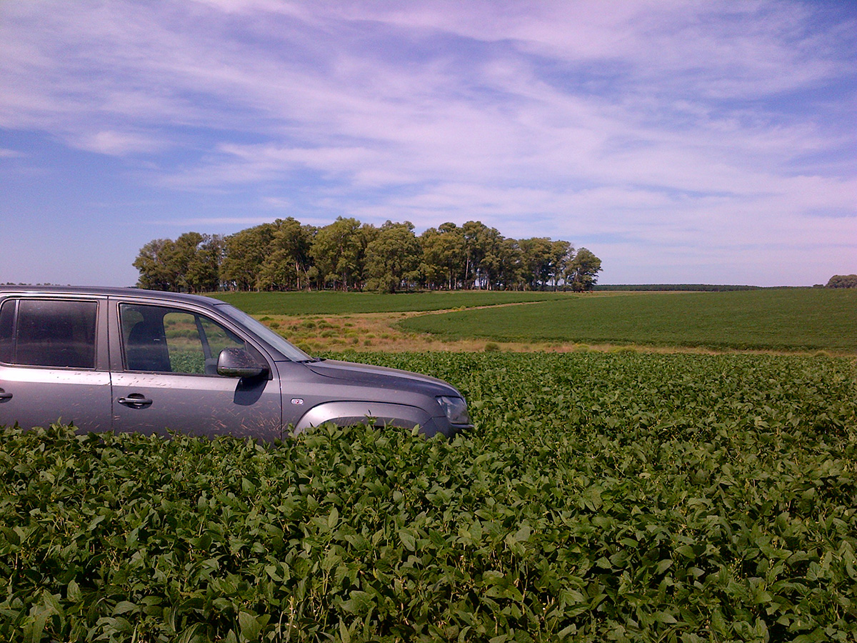 campo