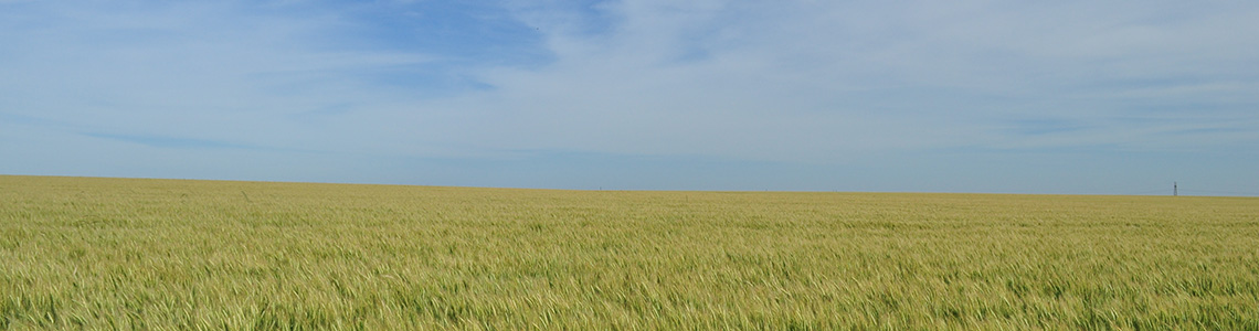 Campo Uruguay