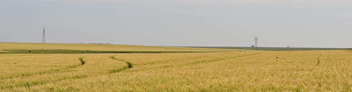 Campo Uruguay